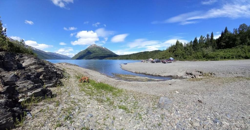 Oyster Lady Homer, Ak Exterior photo